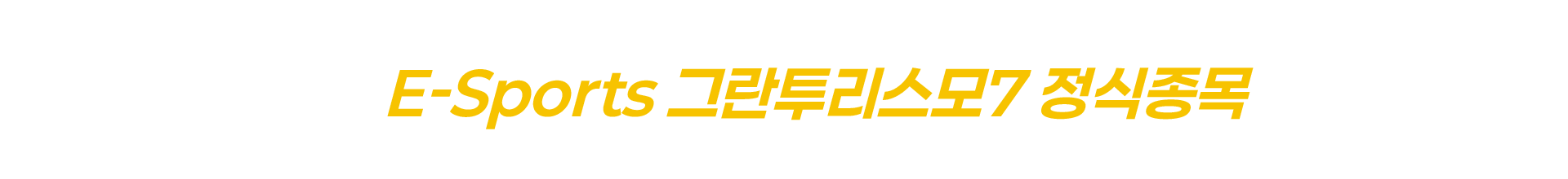 매니아층 취미를 넘어 대중 문화산업으로 성장